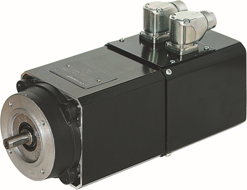 Brushless asynchronous servomotor
