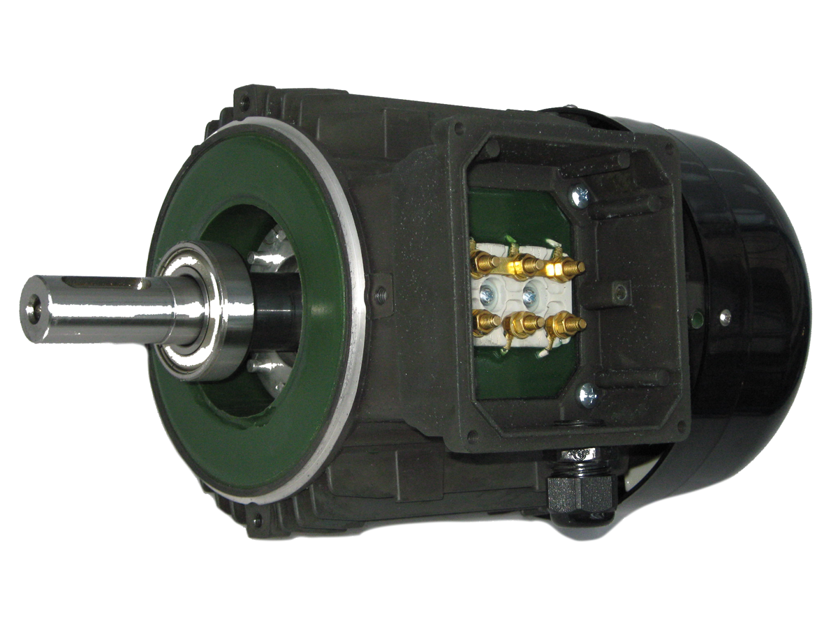 Encapsulated motor