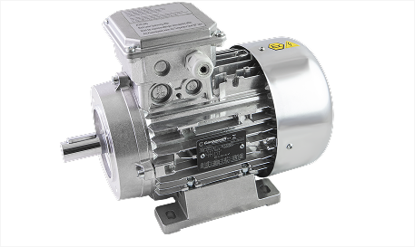 EX Atex motor certified in accordance with TÜV 3GD class.