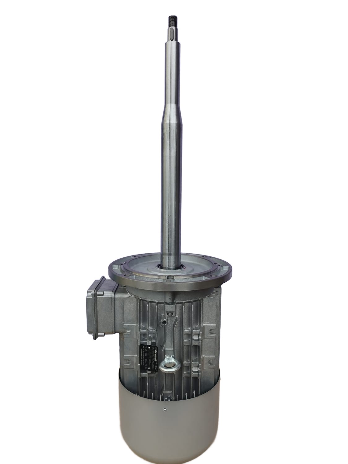 Brushless asynchronous servomotor